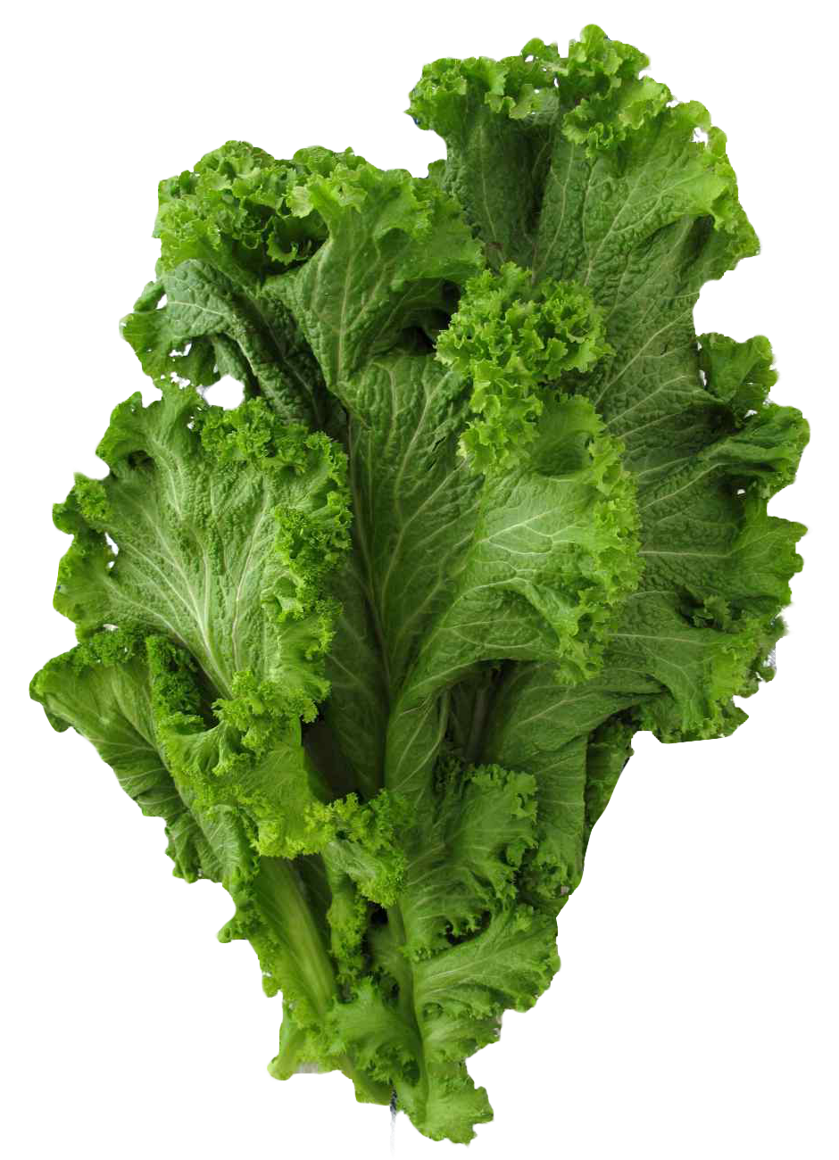 Mustard Greens PNG Background