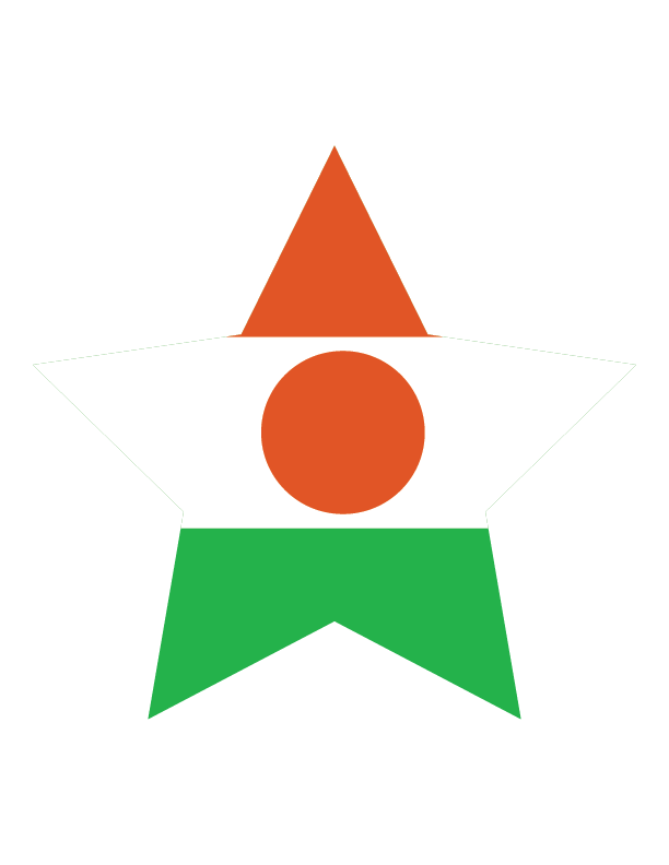 Niger Flag Background PNG