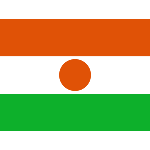 Niger Flag No Background