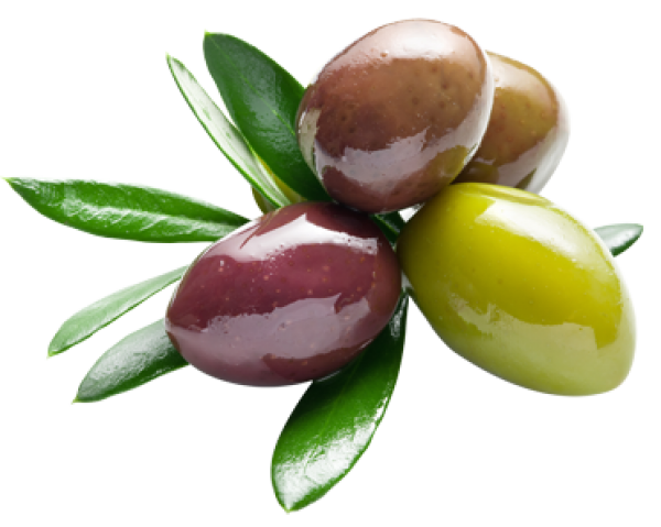 Olives Transparent Image