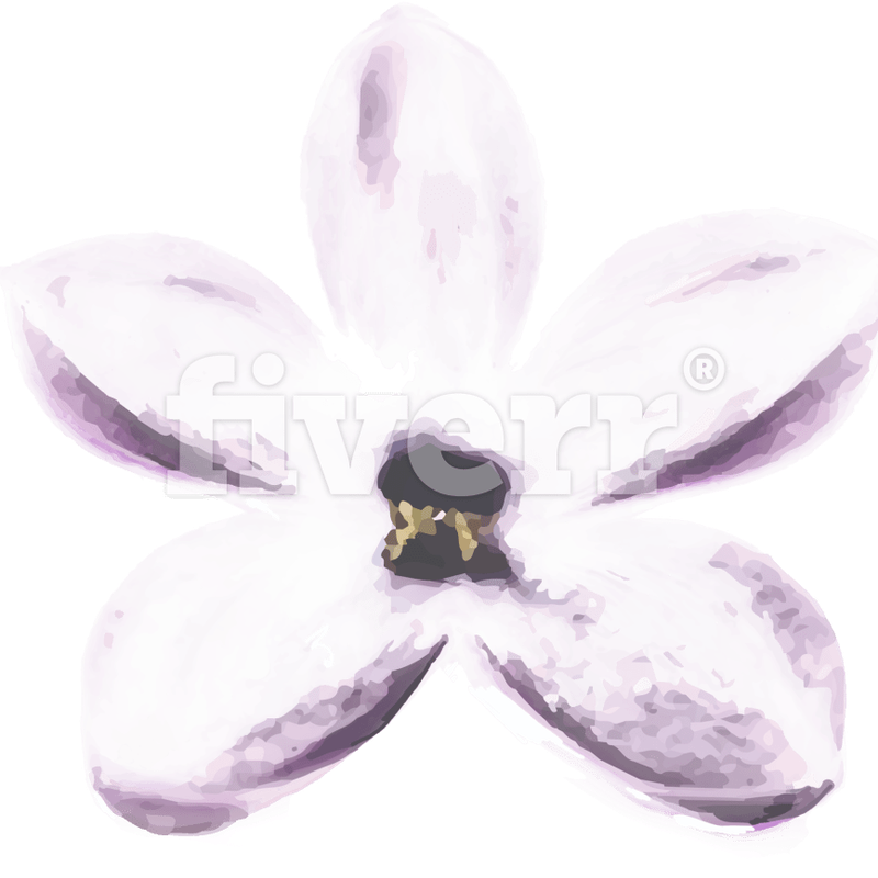 Orchid Background PNG