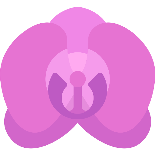 Orchid PNG HD Free File Download