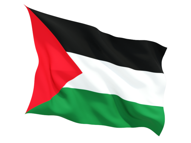 Palestine Flag PNG Photos
