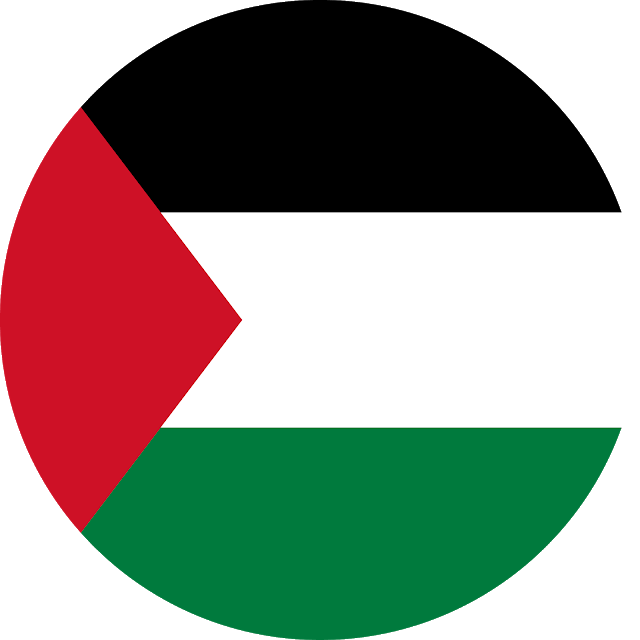 Palestine Flag Transparent Background