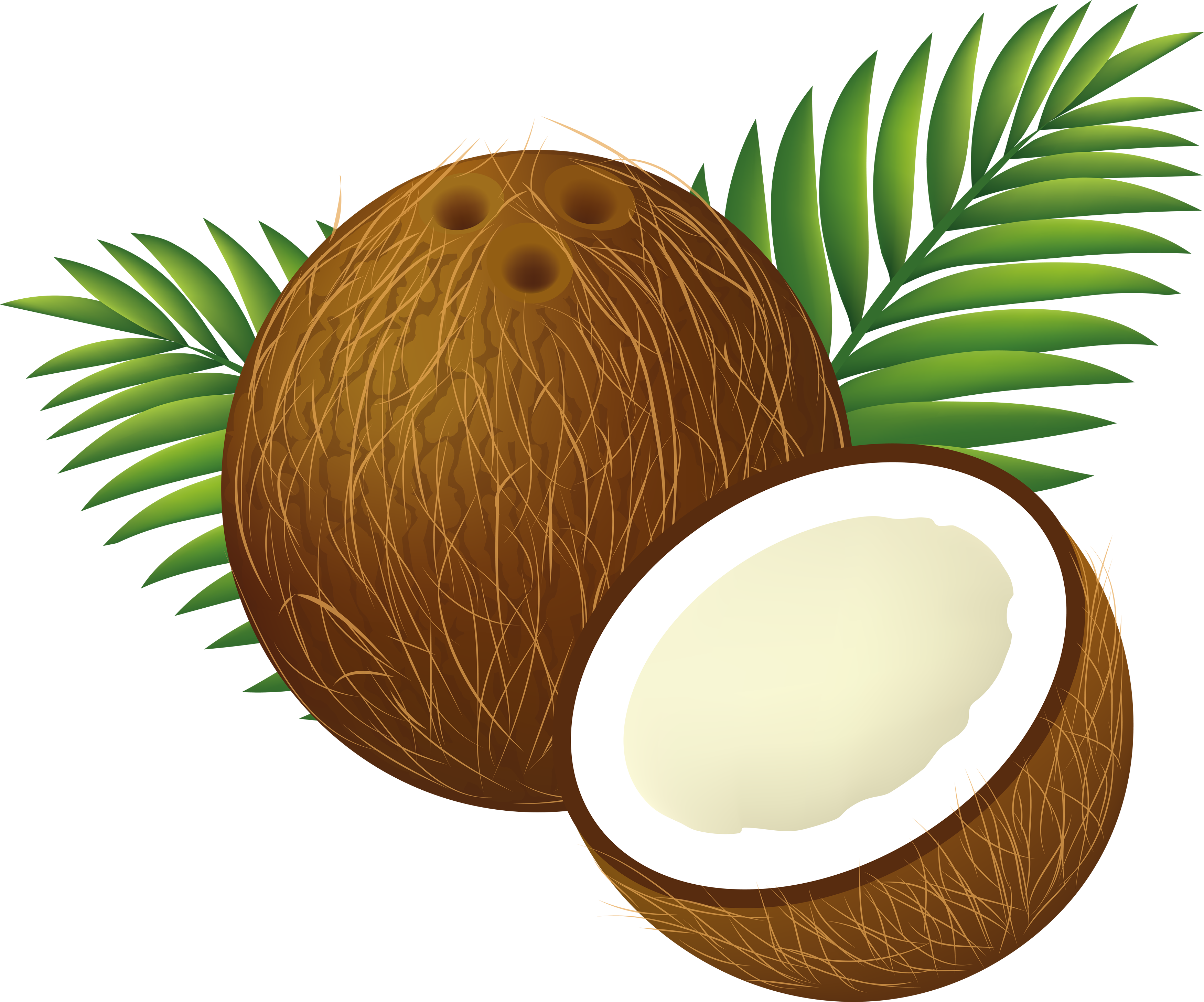 Palm Fruit Background PNG Image