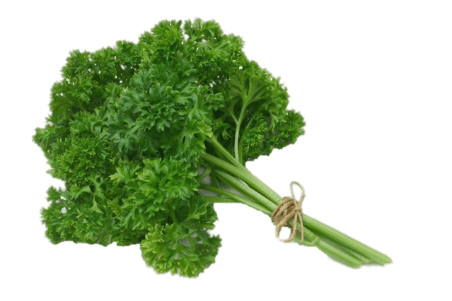 Parsley Background PNG Image