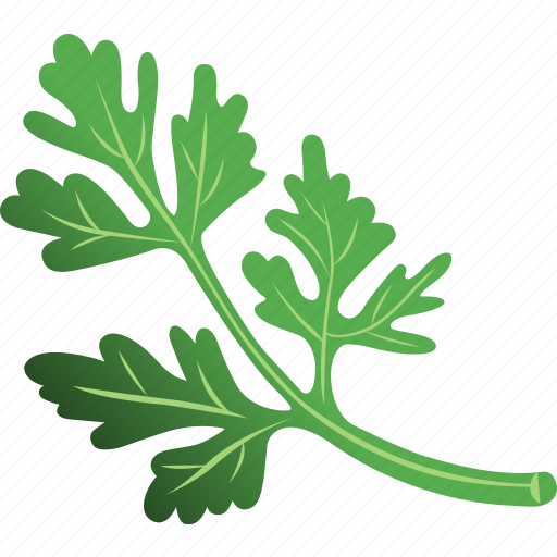 Parsley PNG Clipart Background