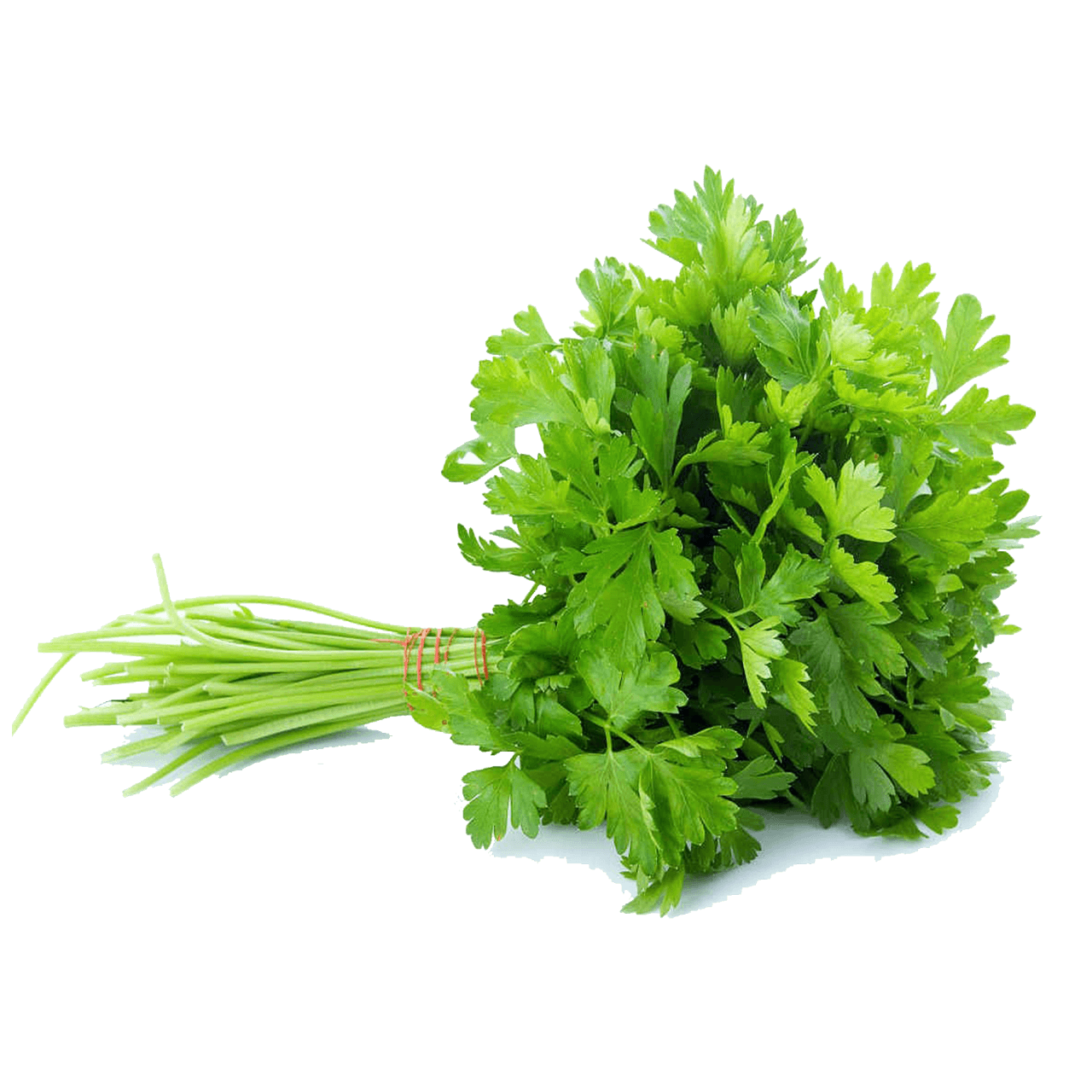 Parsley Transparent Free PNG