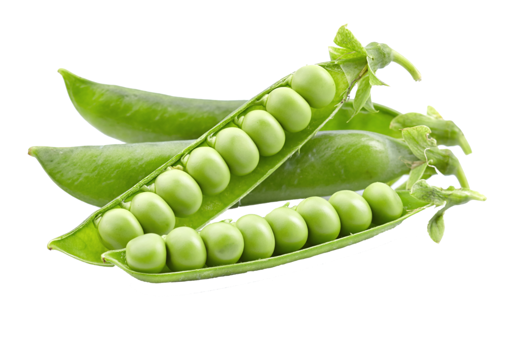 Peas Free PNG