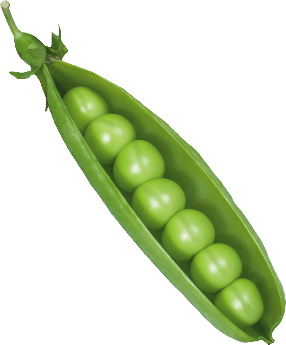 Peas PNG Clipart Background