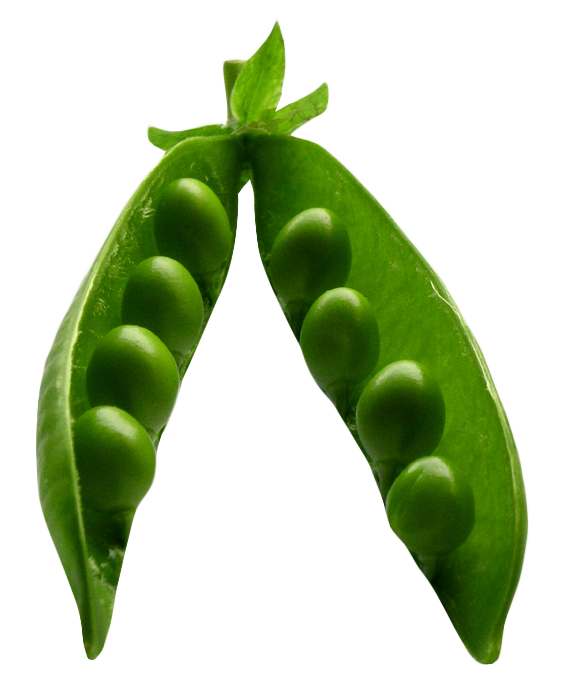 Peas PNG Photo Image