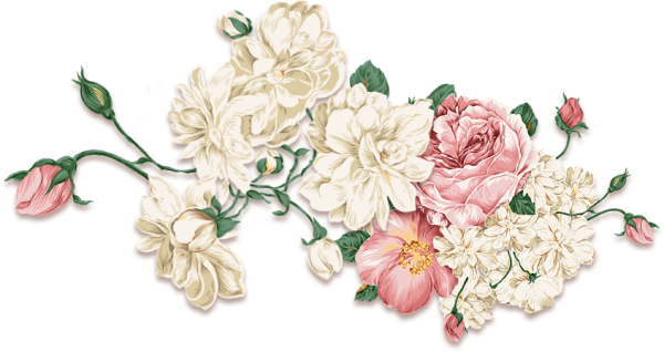 Peony PNG Background