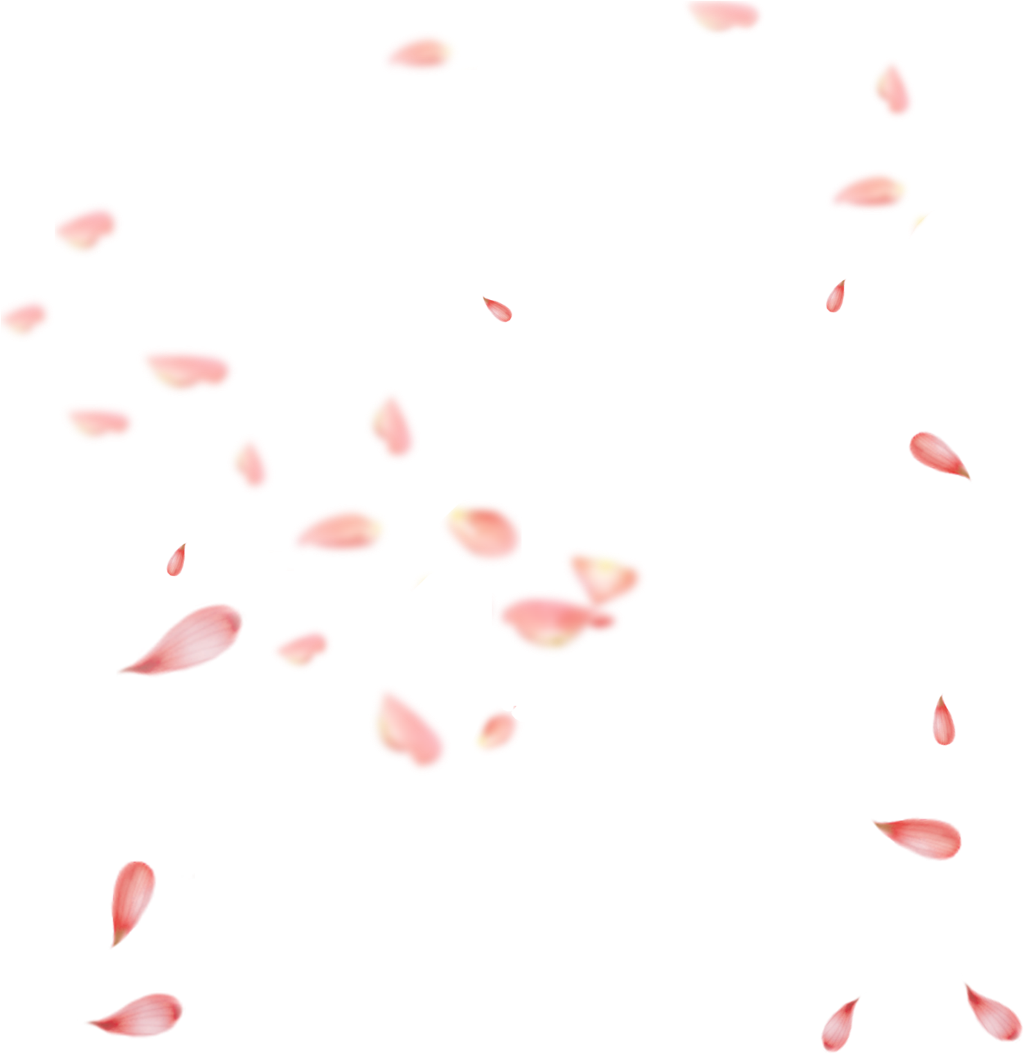 Petal PNG Pic Background