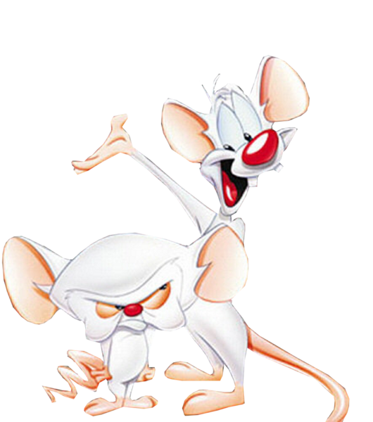 Pinky And The Brain PNG Photos