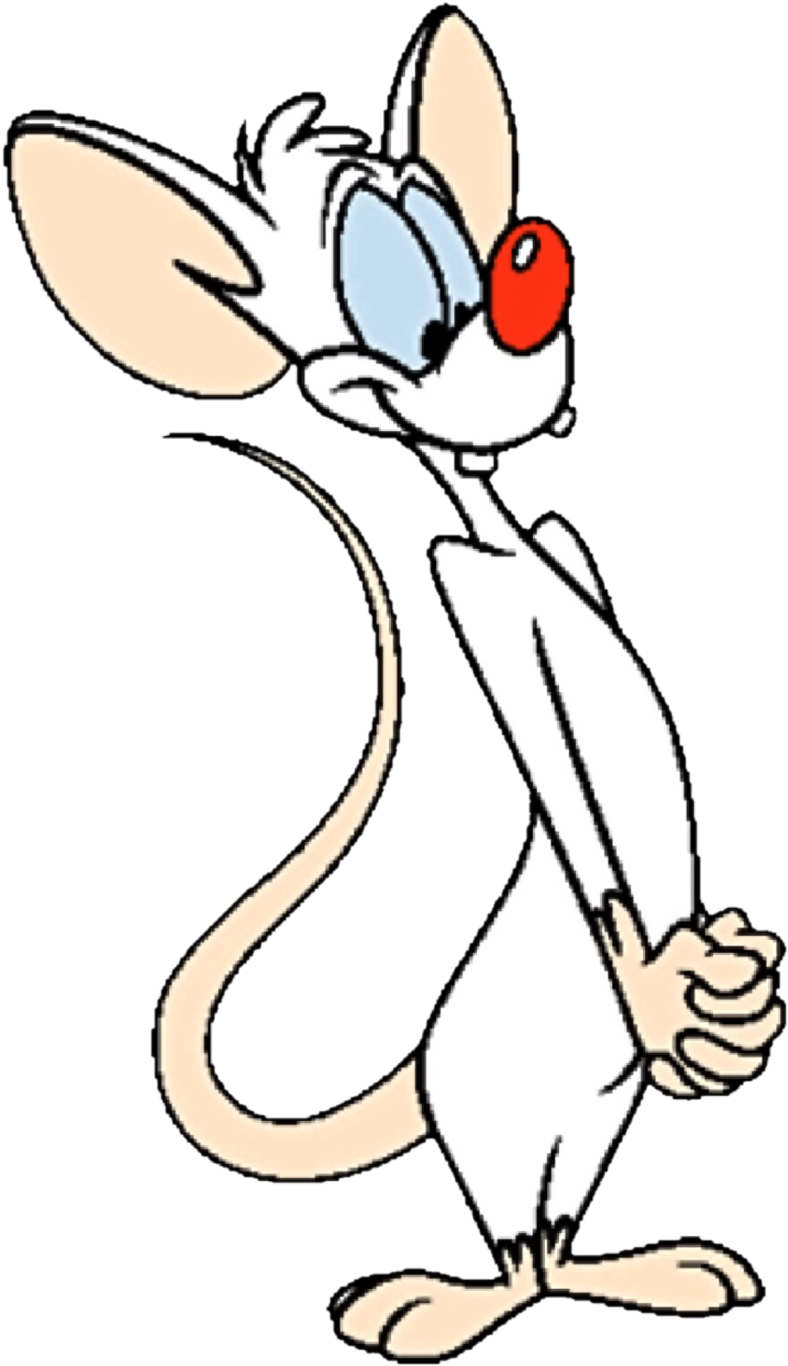 Pinky And The Brain Transparent File
