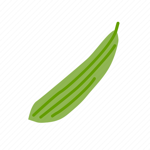 Pointed Gourd PNG HD Quality
