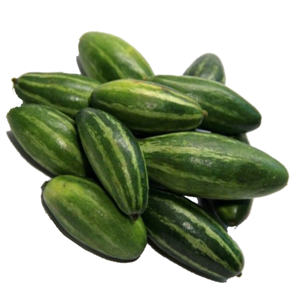 Pointed Gourd PNG Photos