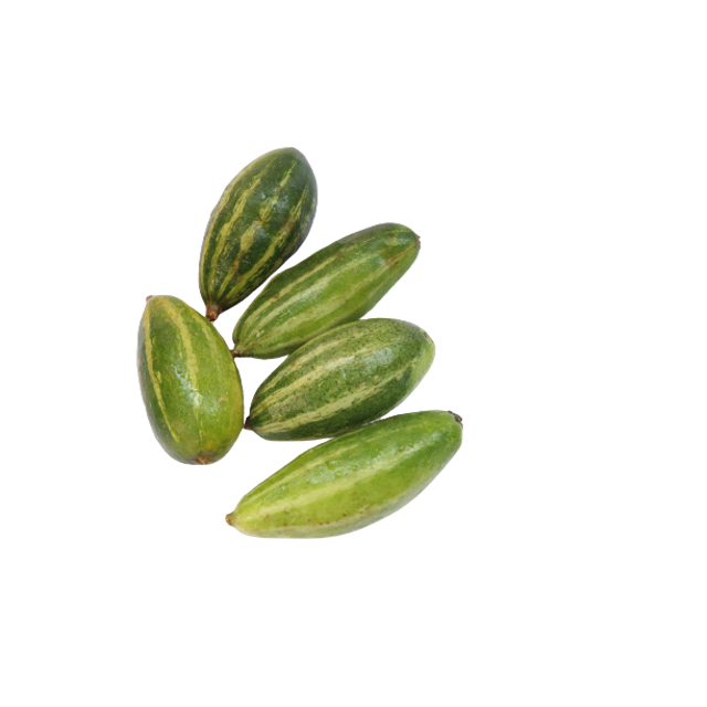 Pointed Gourd Transparent File