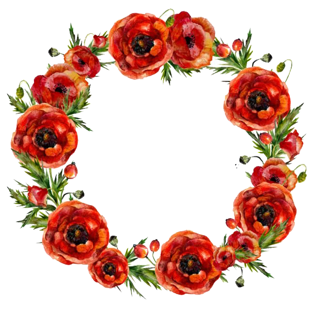 Poppy Background PNG Clip Art