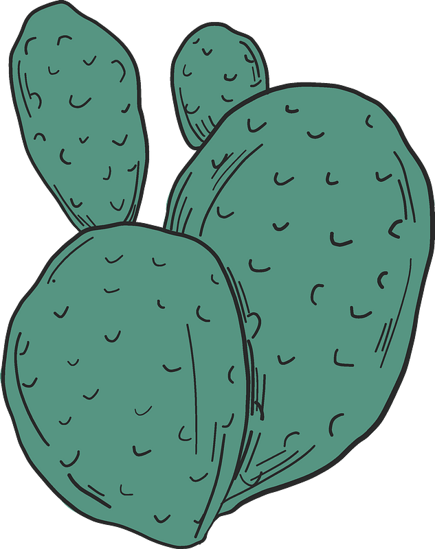 Prickly Pear Background PNG Image