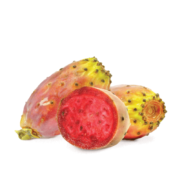 Prickly Pear PNG Photos