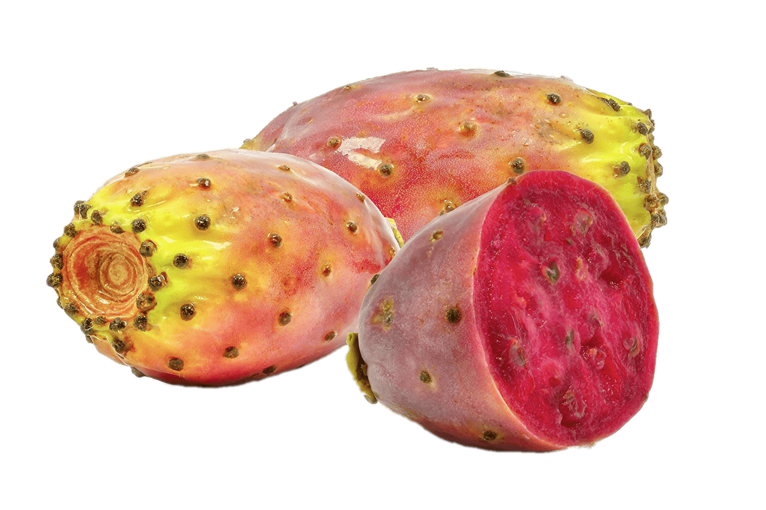 Prickly Pear Transparent Background