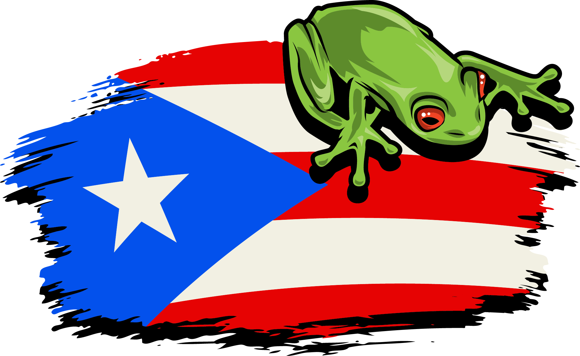 Puerto Rico Flag PNG Photo Image PNG Play.
