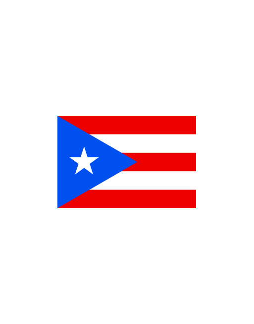 Puerto Rico Flag PNG Photos