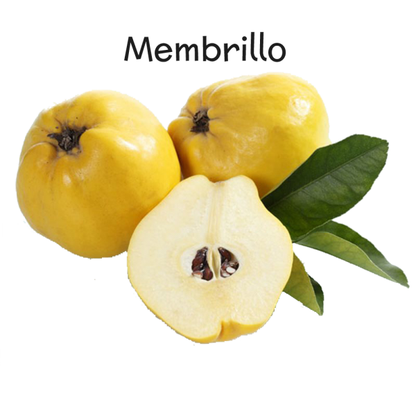 Quince Background PNG Image