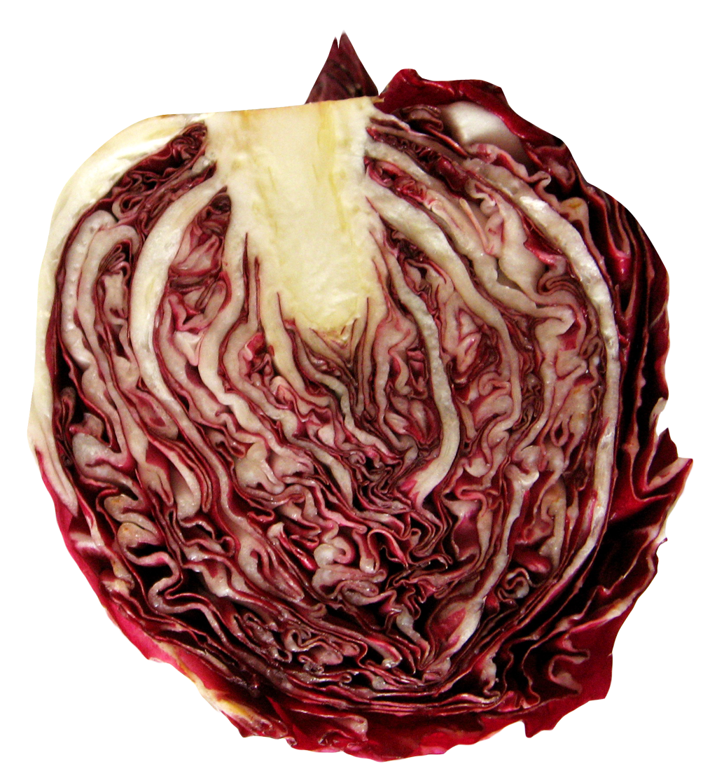 Red Cabbage Free PNG