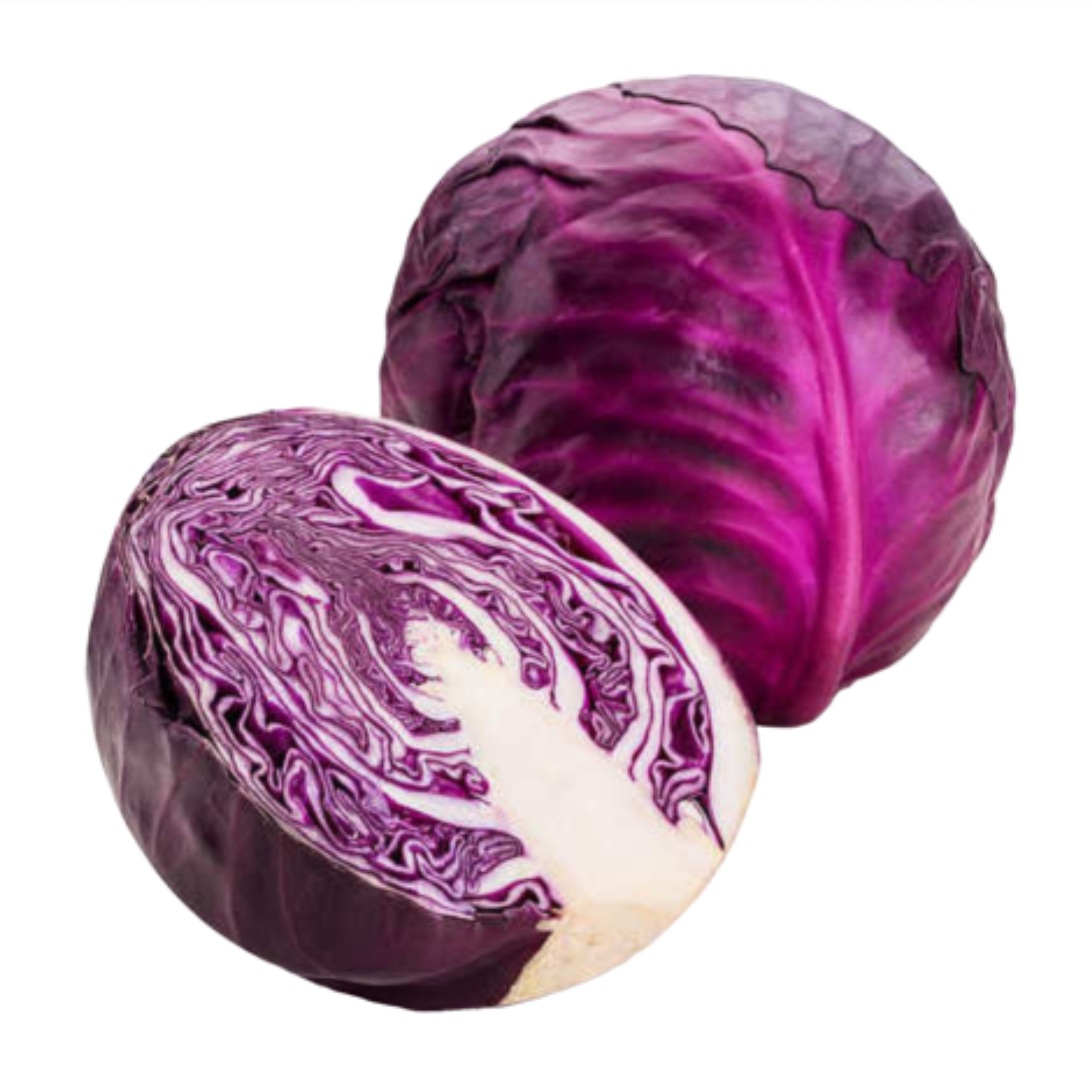 Red Cabbage PNG Free File Download
