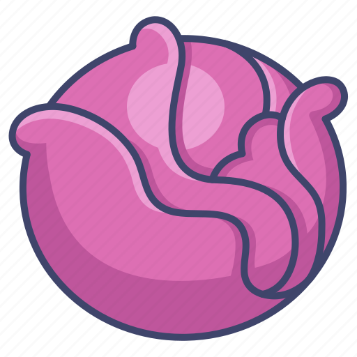 Red Cabbage PNG HD Quality