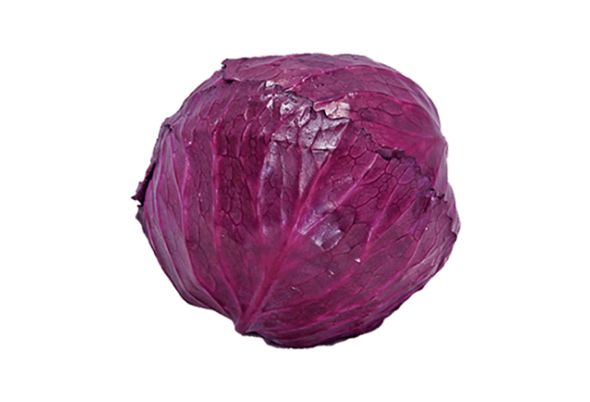 Red Cabbage PNG Photo Image
