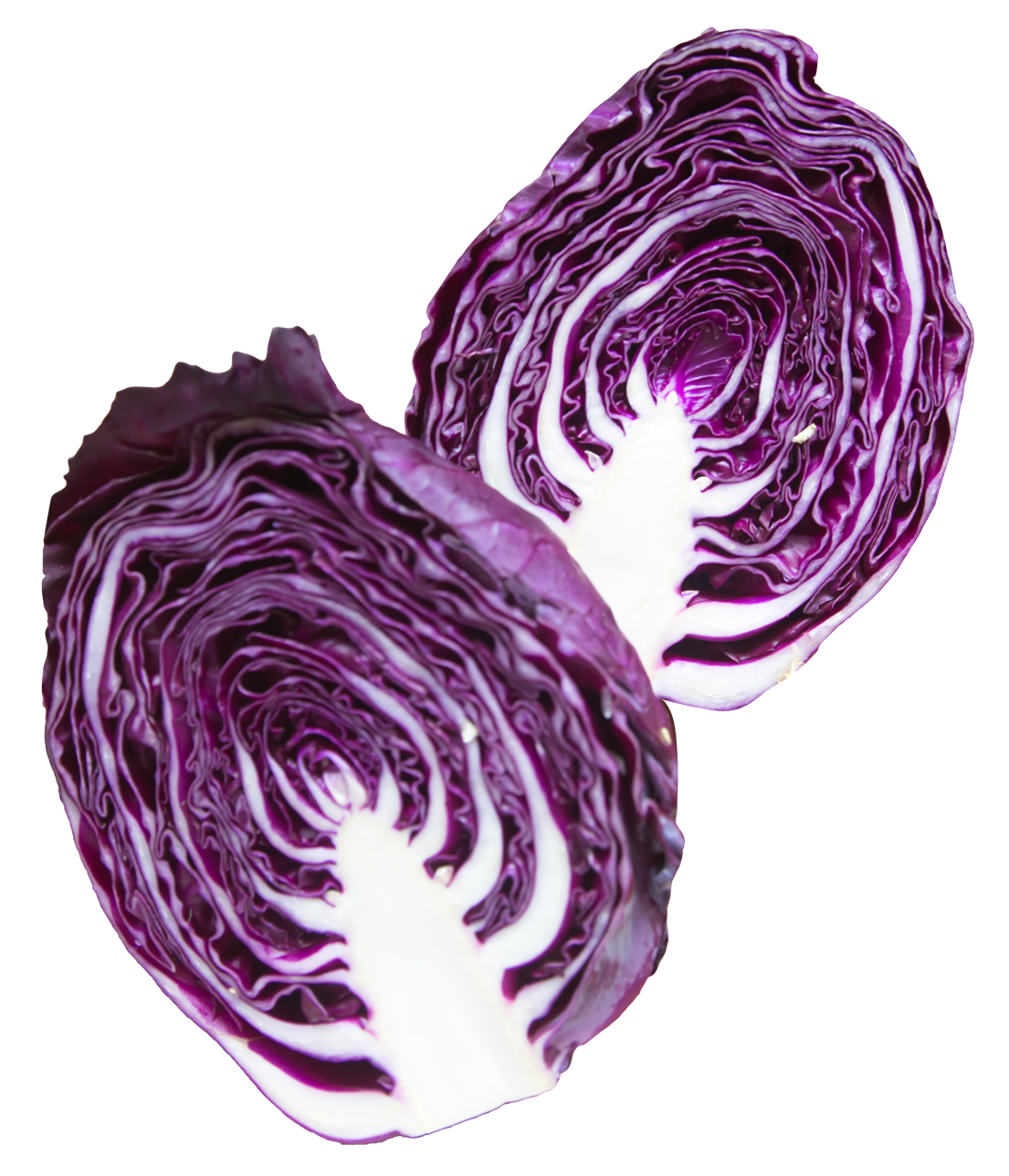Red Cabbage Transparent Background