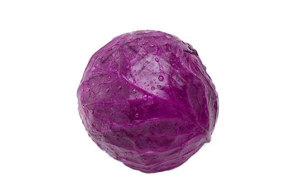 Red Cabbage Transparent Free PNG