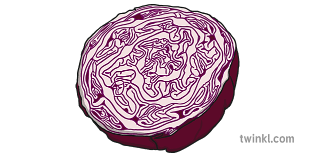 Red Cabbage Transparent Image