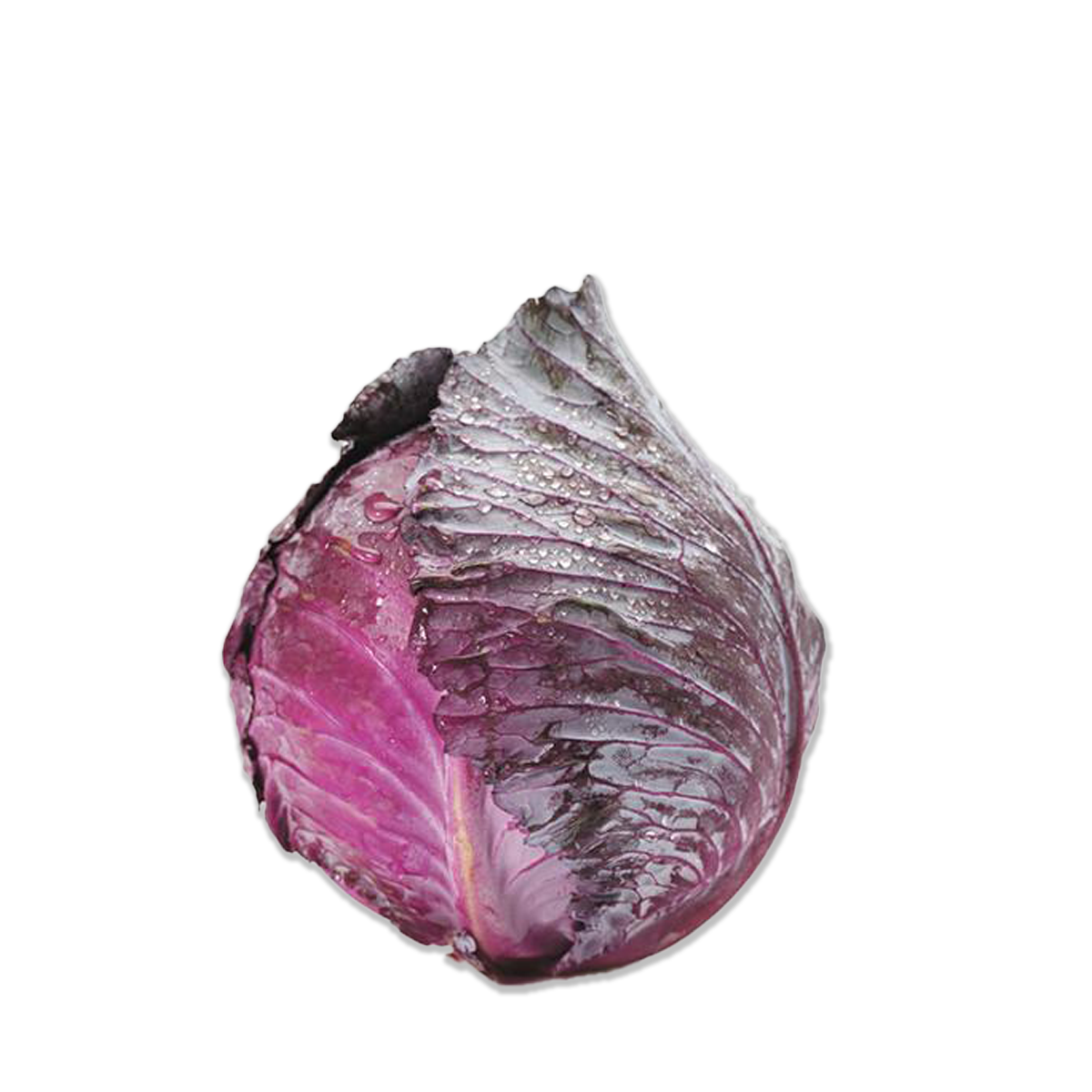 Red Cabbage Transparent Images