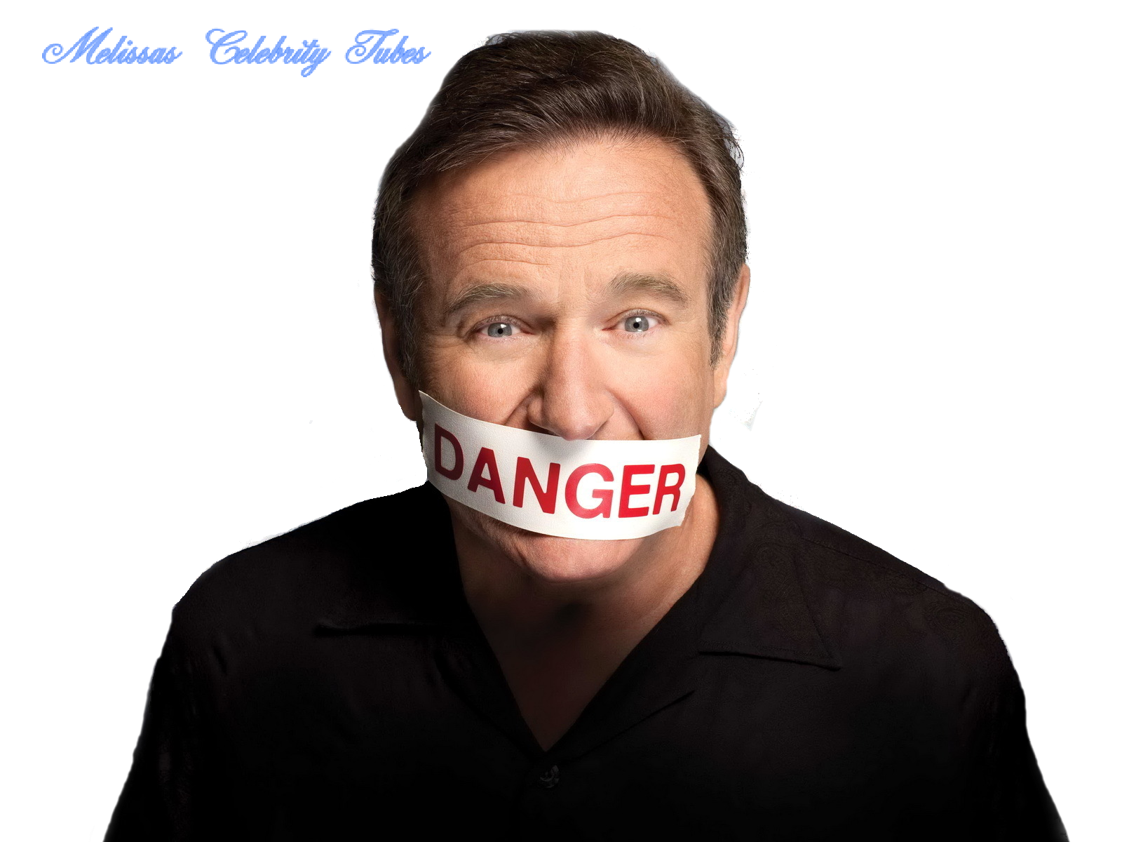 Robin Williams PNG Clipart Background