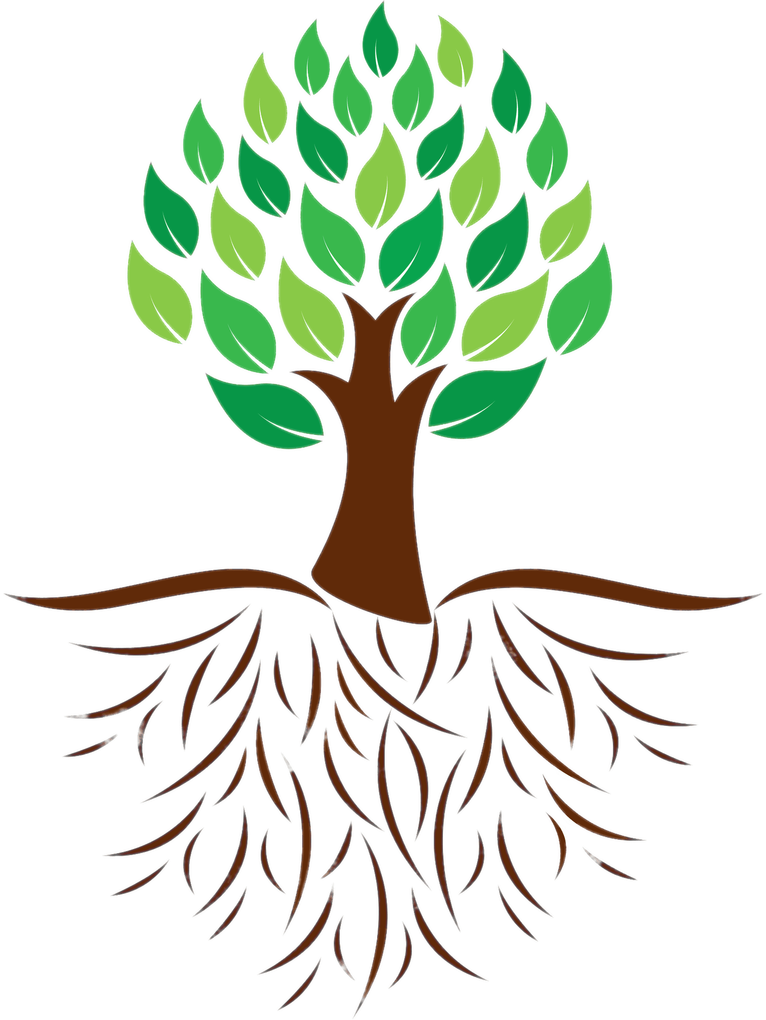 Root Background PNG Image
