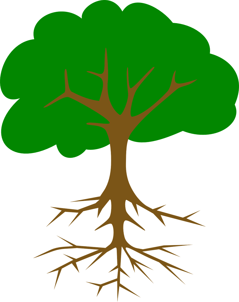 Дерево с корнями и кроной. Дерево с корнями для детей. Строение дерева для детей. Дерево рисунок. Корни картинка для детей