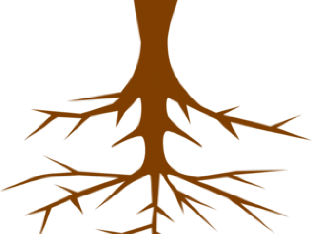 Root PNG Images HD
