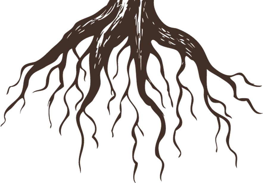 Корень растения для детей. Корни дерева. Дерево с корнями для детей. Корни вектор. Корни картинка для детей