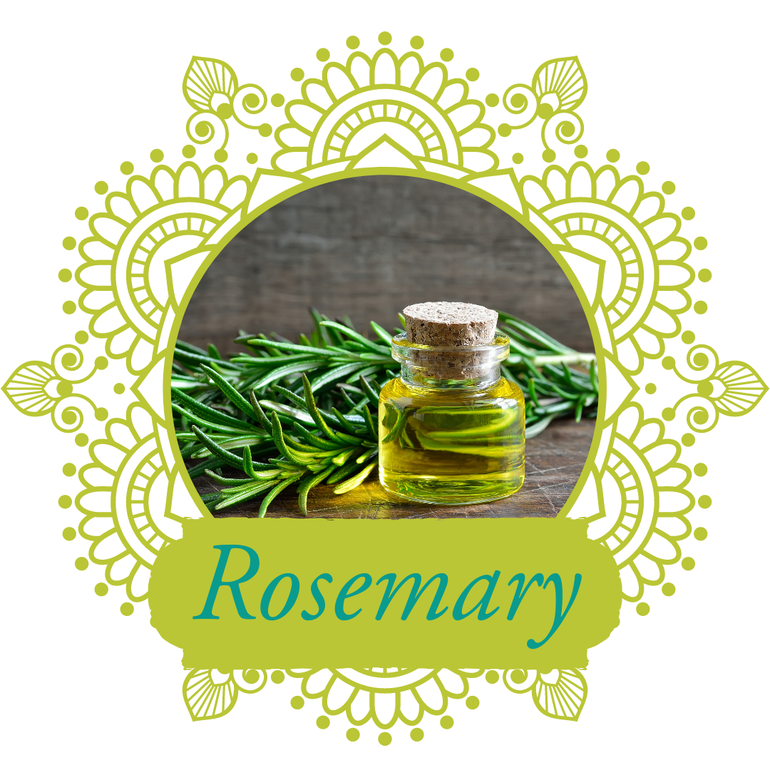 Rosemary Download Free PNG