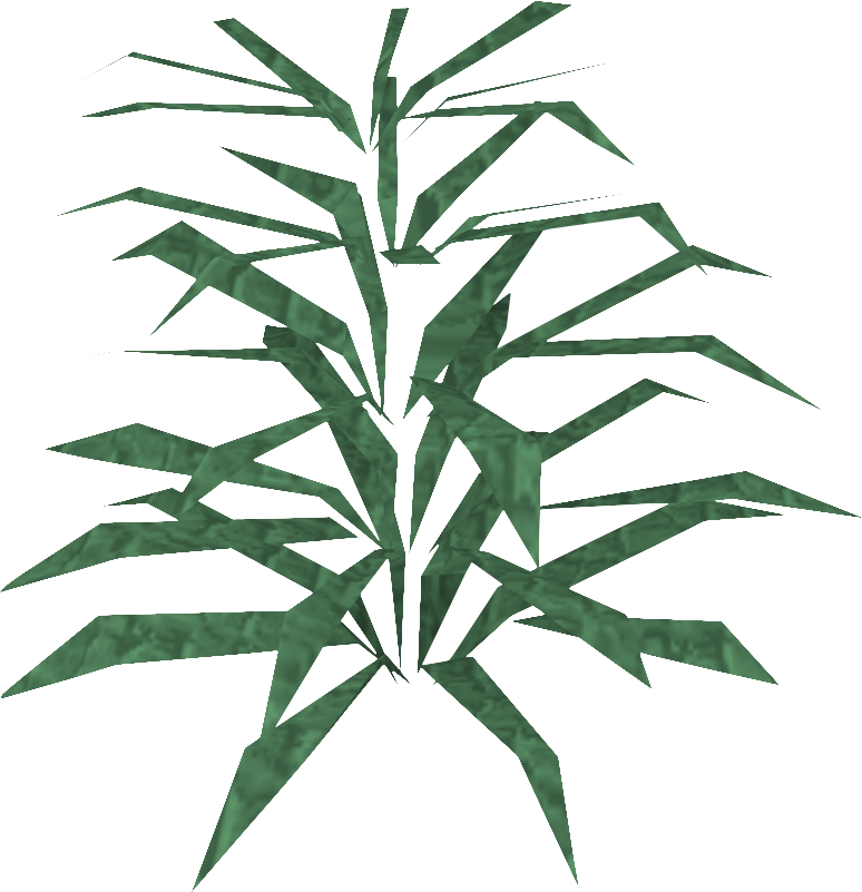 Rosemary Transparent Images