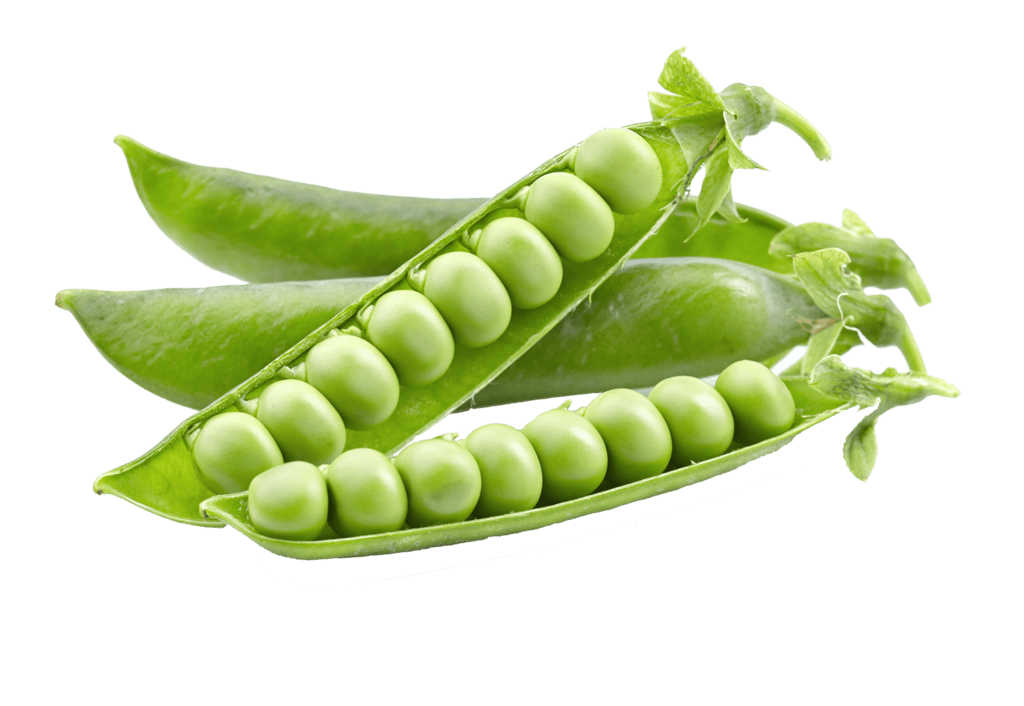 Runner Beans Download Free PNG