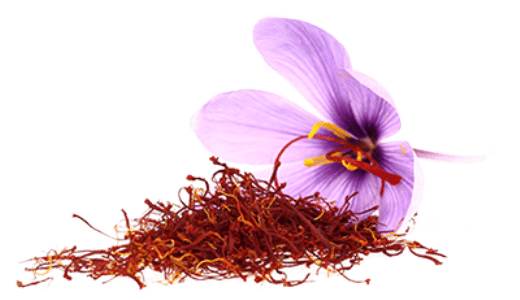 Saffron Transparent Free PNG