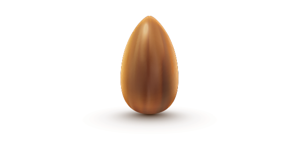 Seed Download Free PNG Clip Art
