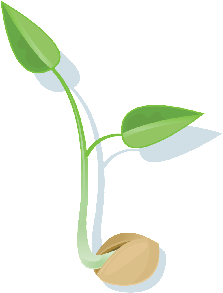 Seed PNG Background
