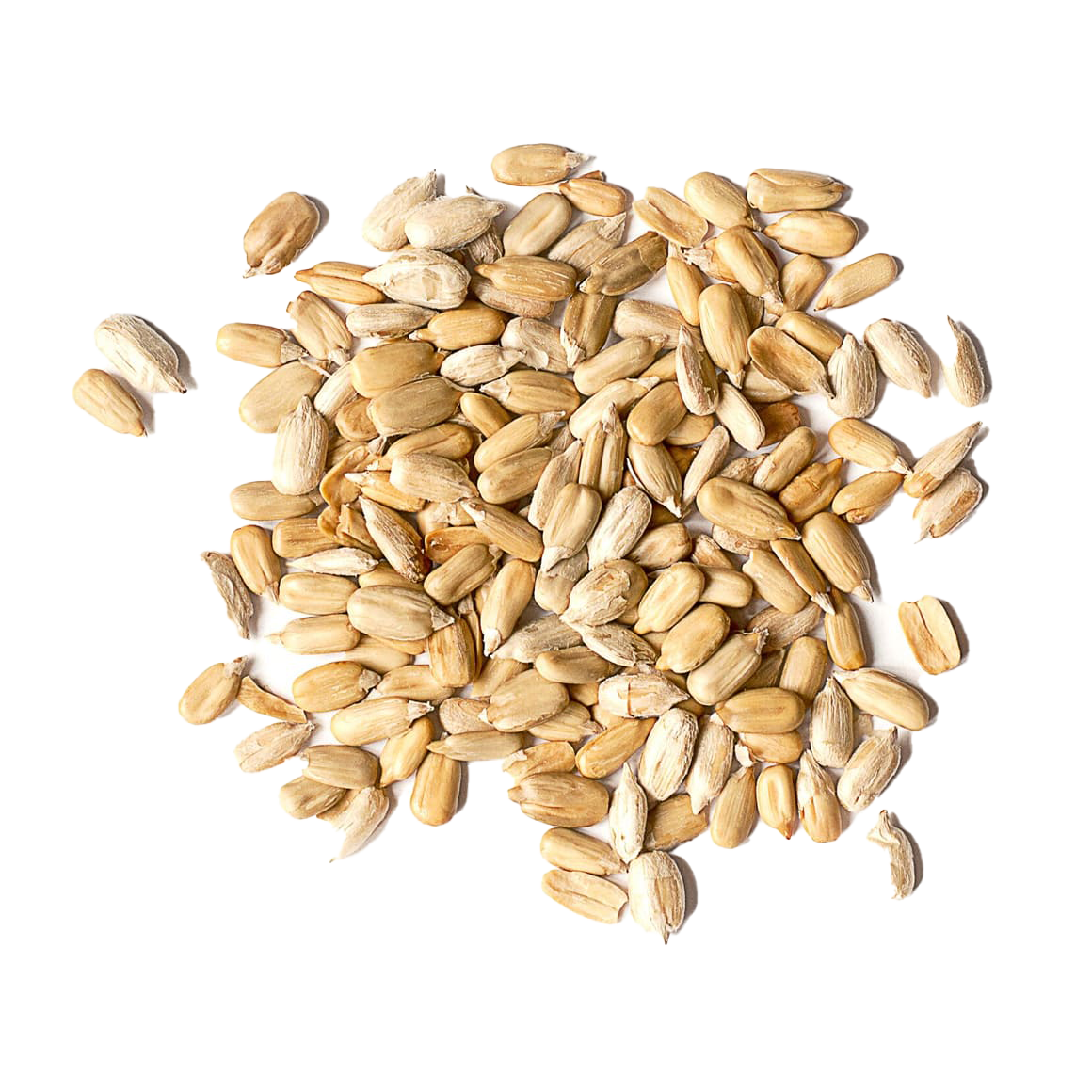 Seed PNG Clipart Background HD