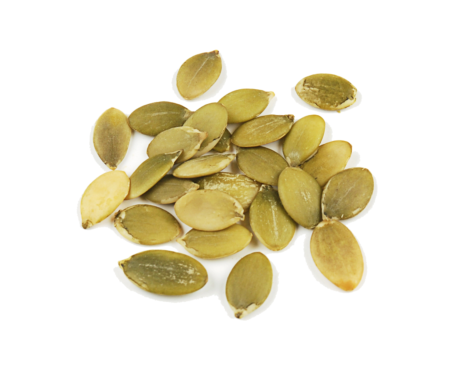Seed PNG Clipart Background